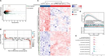 Potential therapeutic effect of NK1R antagonist in diabetic non-healing wound and depression